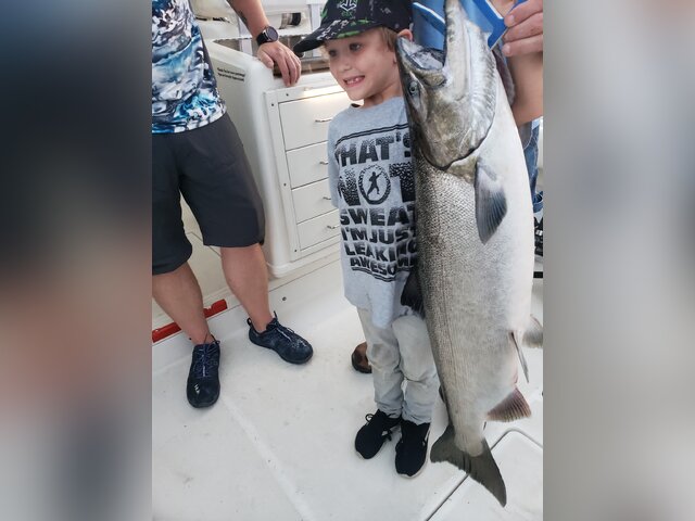 Listing image 546293