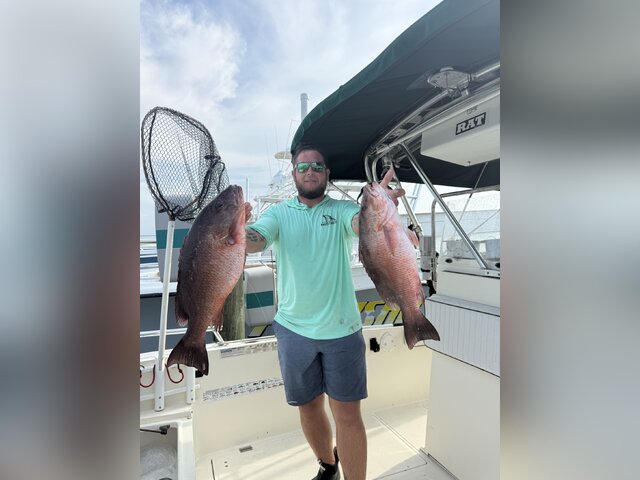 Listing image 1213920