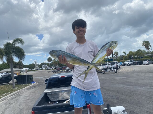 Listing image 1214889