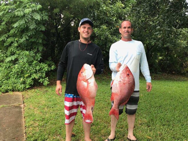 Listing image 1214712