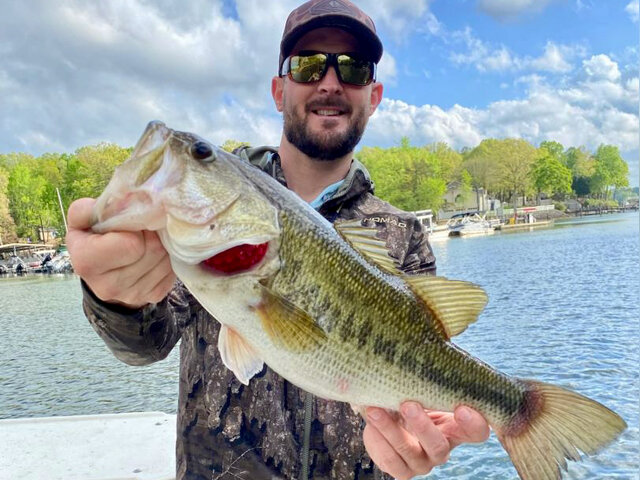 Listing image 1239753