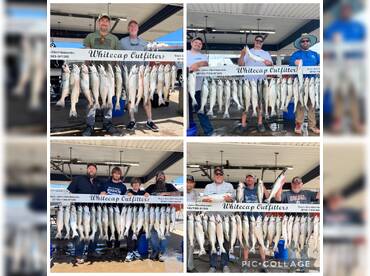 Whitecap Outfitters LLC