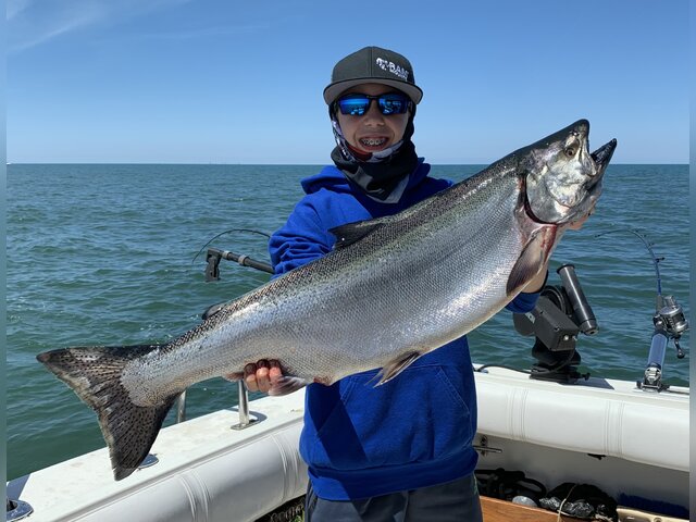 Listing image 1226855