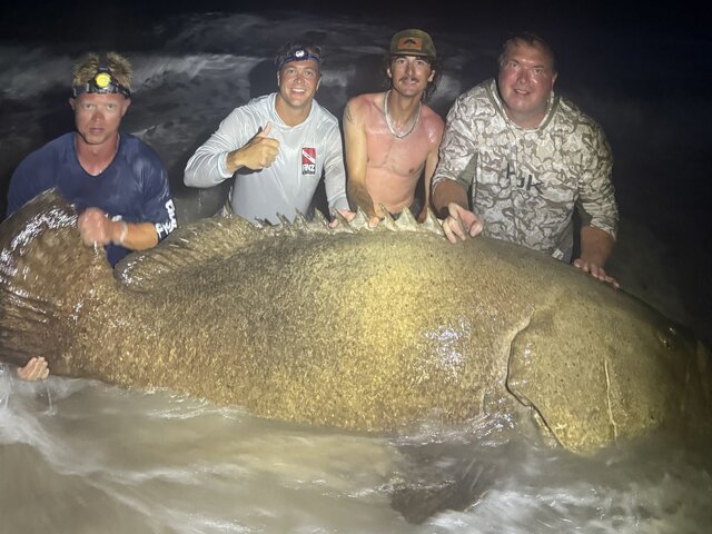 Listing image 1216812