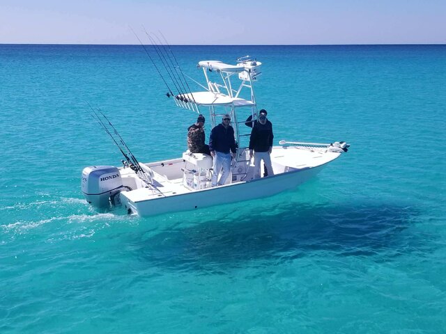 Listing image 221982