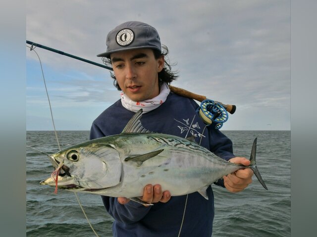 Listing image 1217260