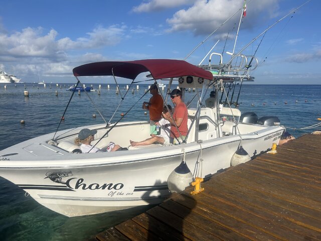 Listing image 1217288