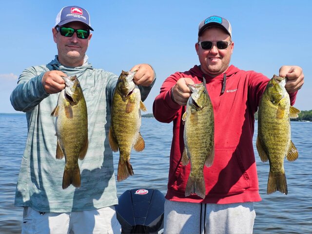 Listing image 1228309