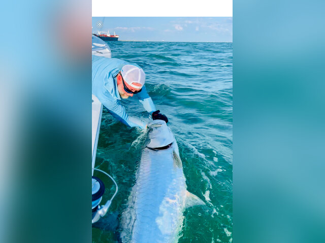 Listing image 1243618