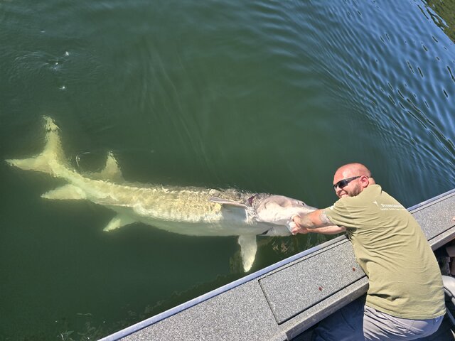 Listing image 1217701