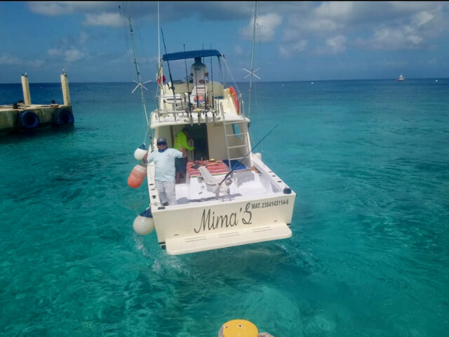 Listing image 1240553