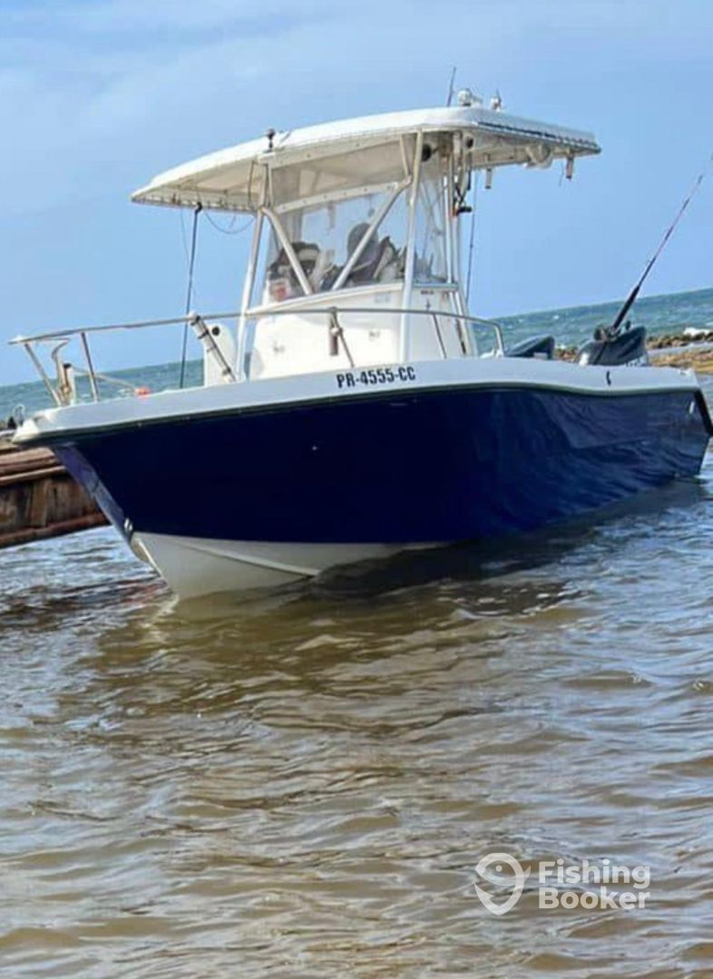 Boat Image