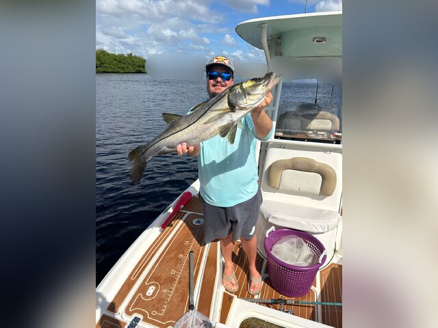 Listing image 1265474