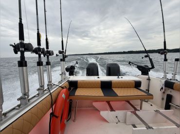 Rockin Reels Adventures