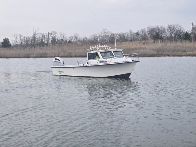 Listing image 1222685