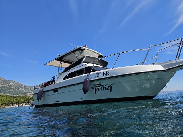 Listing image 1224122