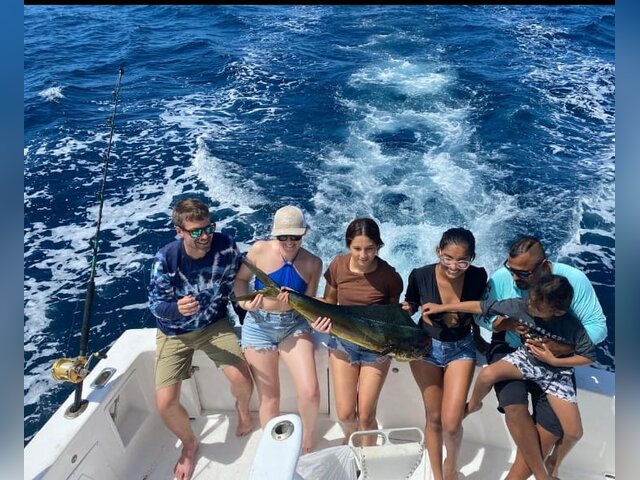 Listing image 1233059