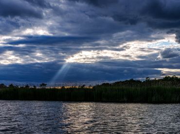 Tuckahoe River Scenic Cruise