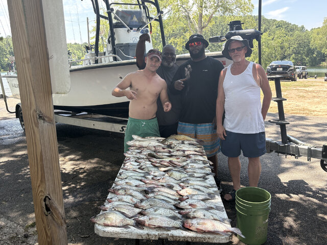 Listing image 1227613