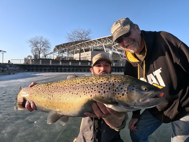 Listing image 1227924