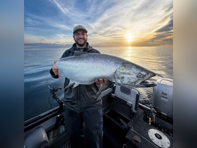 Listing image 1340152