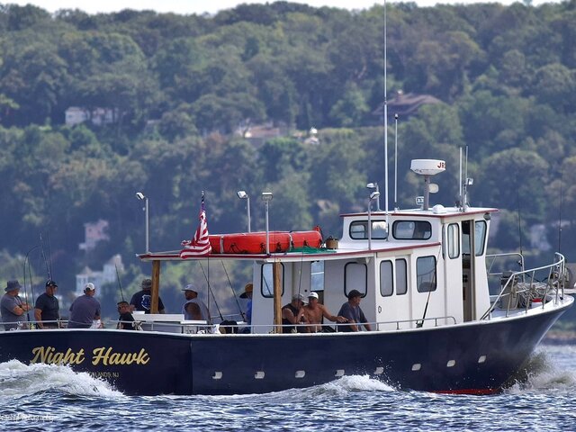 Listing image 1264748