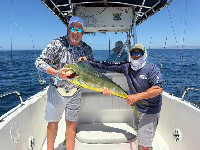 Listing image 1229352