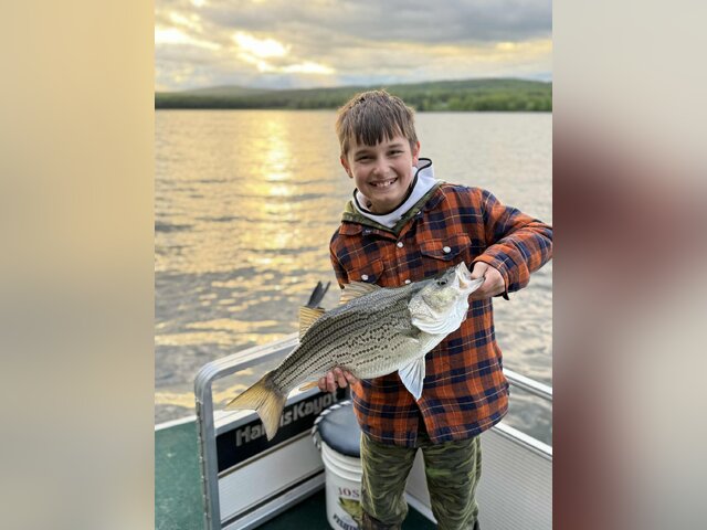 Listing image 1228571