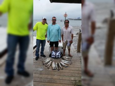 Gulf Coast King thumbnail