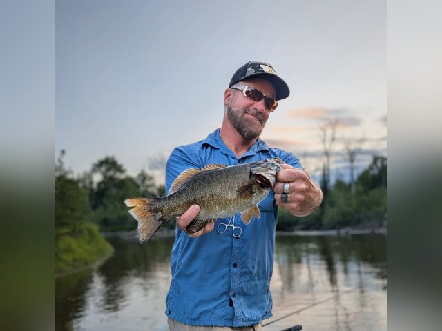 Listing image 1229740