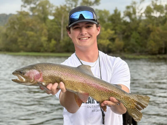 Listing image 1250254