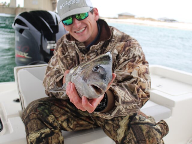 Listing image 274450