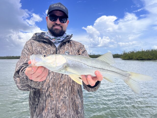 Listing image 1231792