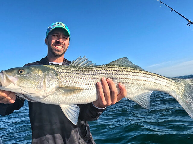 Listing image 1233821