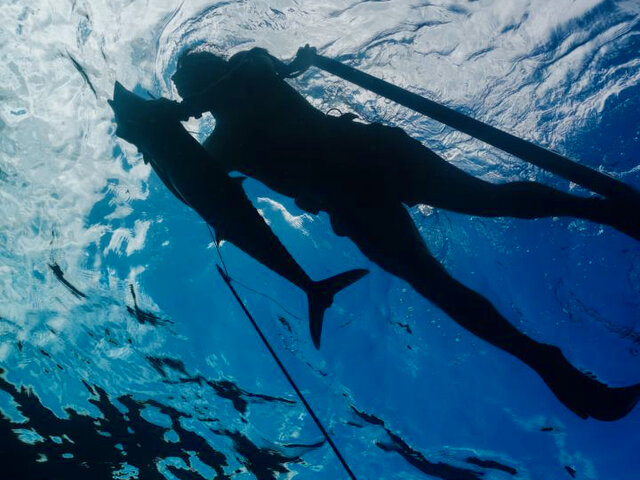 Listing image 1256799