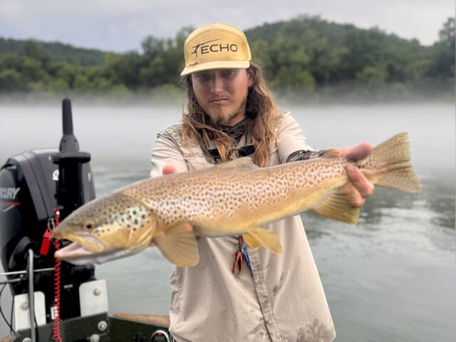 Listing image 1250957