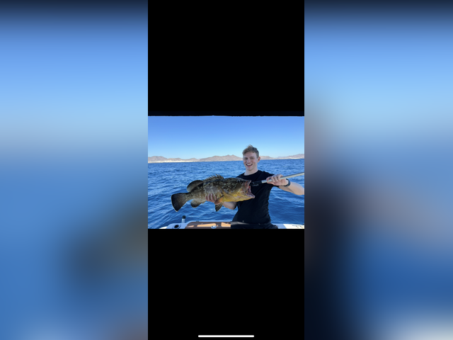 Listing image 1244164