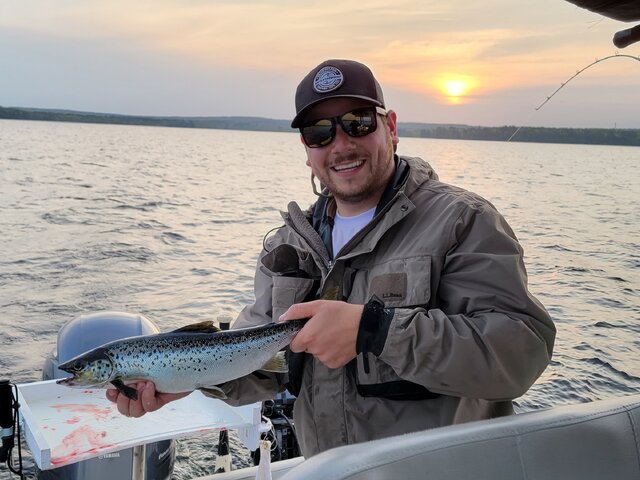 Listing image 1235475