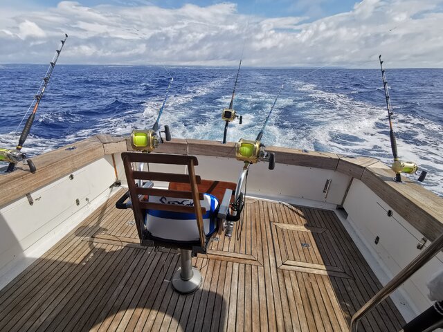 Listing image 1236290