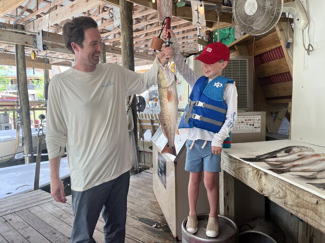 Listing image 1236441