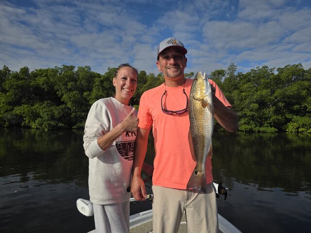 Listing image 1262629