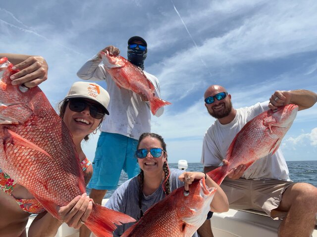 Listing image 1236845