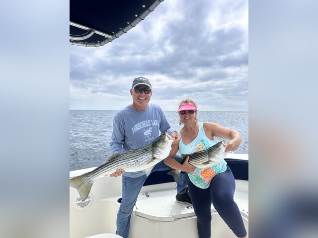 Listing image 1237229