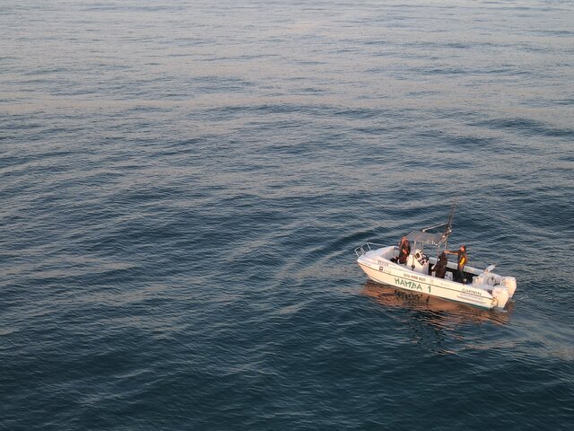 Listing image 1237497