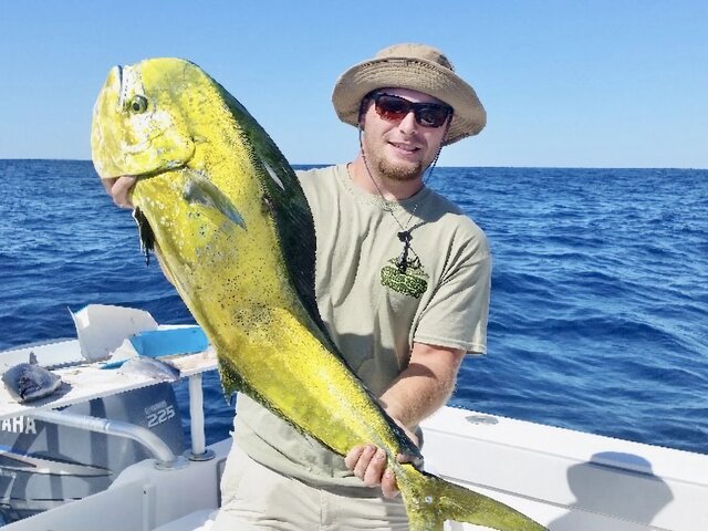 Listing image 841591