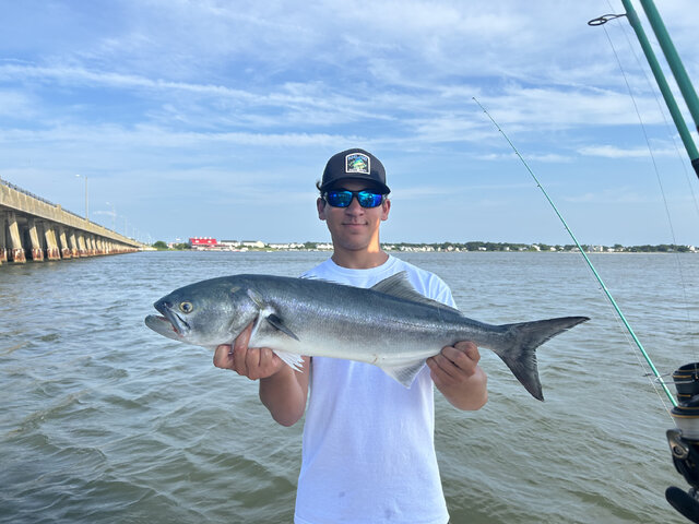 Listing image 1237680