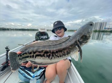 Skipper Prima Ventures