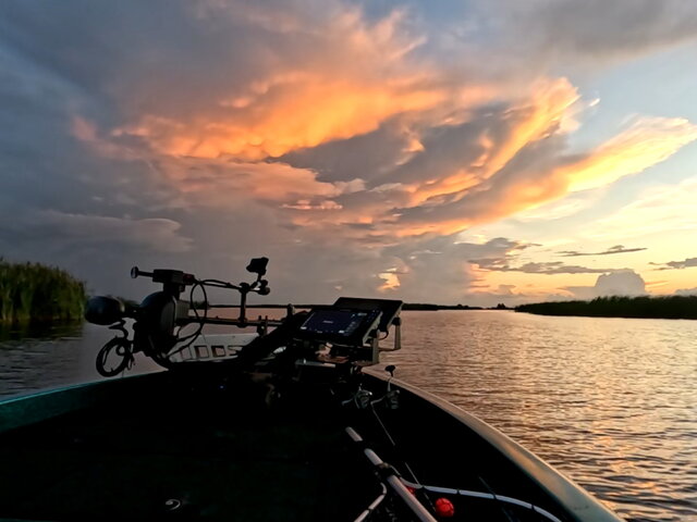 Listing image 1238025