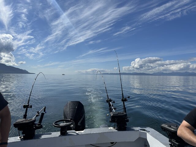 Listing image 1341375