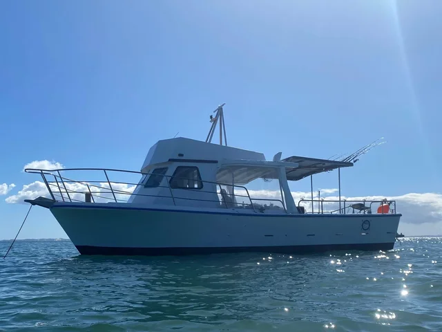 Listing image 1258004